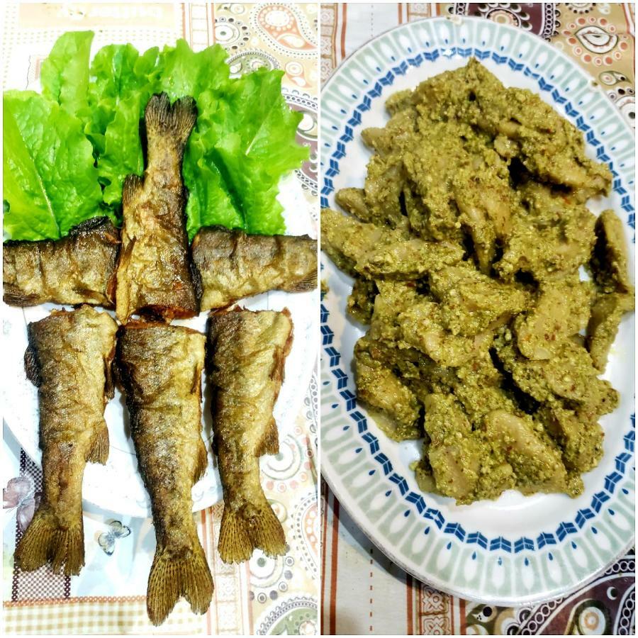 Sehrish Guest House סקרדו מראה חיצוני תמונה